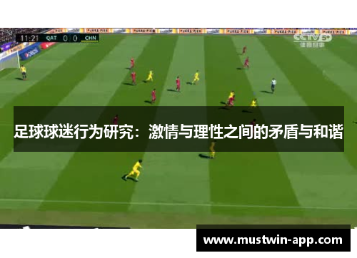足球球迷行为研究：激情与理性之间的矛盾与和谐