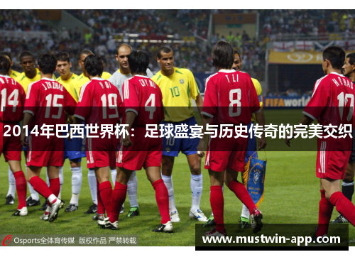 2014年巴西世界杯：足球盛宴与历史传奇的完美交织