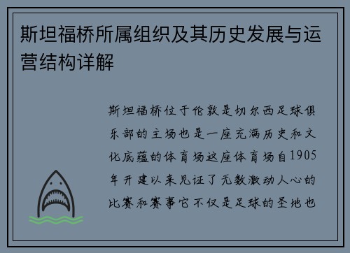 斯坦福桥所属组织及其历史发展与运营结构详解