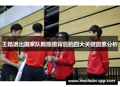 王皓退出国家队教练组背后的四大关键因素分析